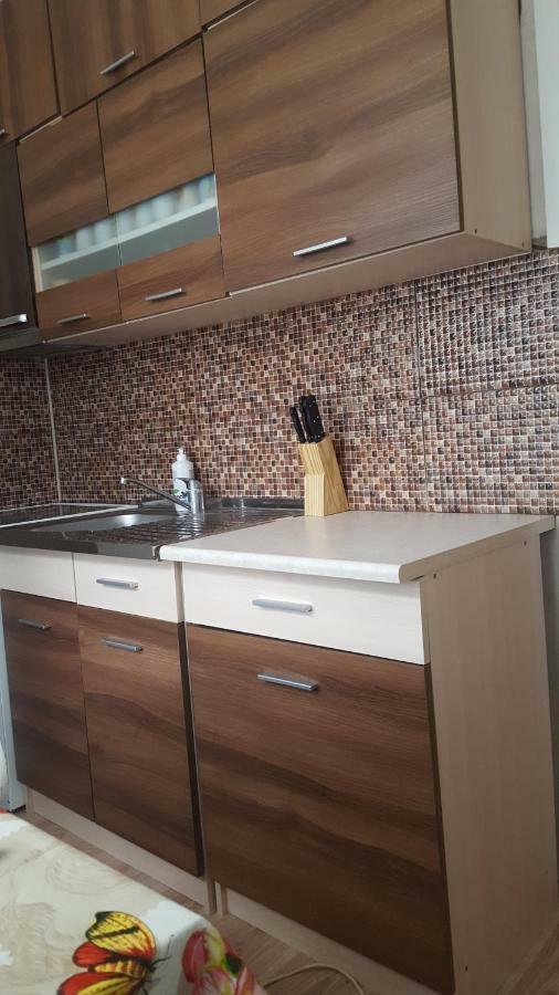 Poilsis Ignalinoje Apartamentai 外观 照片